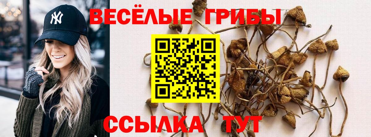 Псилоцибиновые грибы мухоморы  Вход с VPN  Северск 