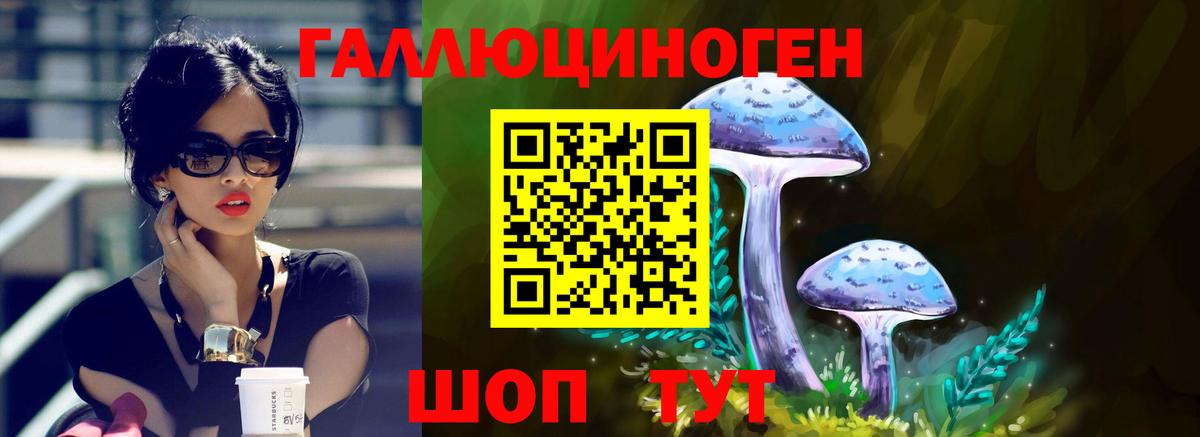 Псилоцибиновые грибы Psilocybe Северск